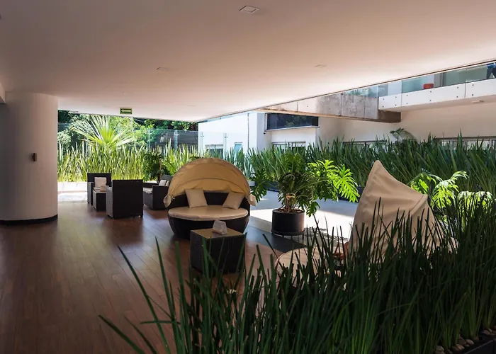 Condesa Luxury Mexico City